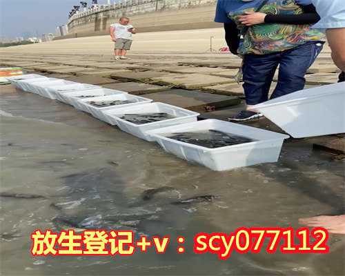 上海放生买什么鱼最好呢,上海放生买什么鱼最好