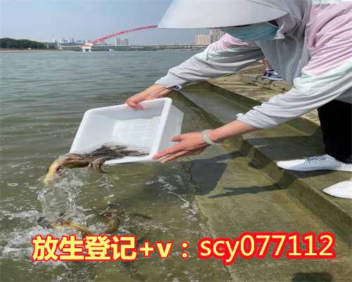 放生的泥鳅为什么不走一直在河边,为什么放生泥鳅姻缘好