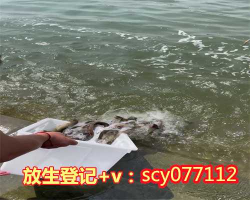 东莞适合放生的地方有哪些,东莞适合放生的地方