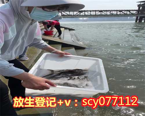 为逝去的亲人放生作用，为逝去的亲人放生怎么回向