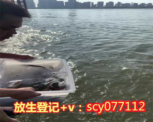 保佑小孩考试的放生六字真言怎么写，保佑小孩考试的放生六字真言
