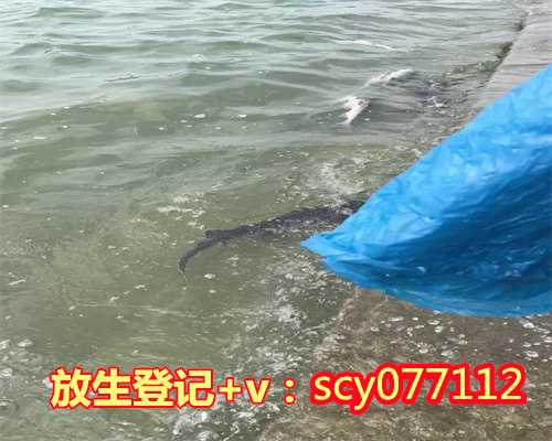个人放生简单仪轨及回向文2023年,个人放生简单仪轨及回向文
