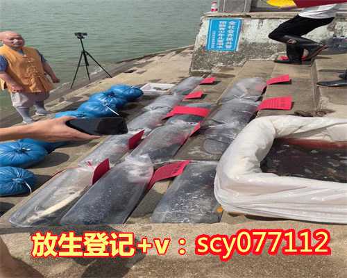 人流手术后可以直接放环吗，做人流后可以放生吗