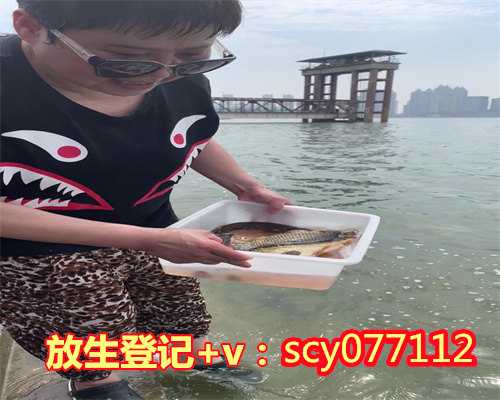 东莞哪里可以放生乌龟的地方,东莞哪里可以放生乌龟