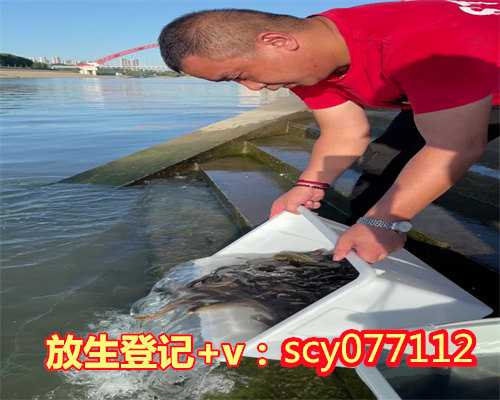 乌鲁木齐哪里可以放生乌龟的地方,乌鲁木齐哪里可以放生乌龟