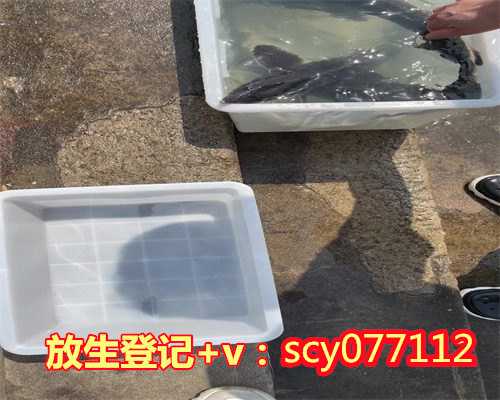 海口放生园放生河蚌，有人在海滩放生巴西龟蟒蛇海口消防忙抓蛇