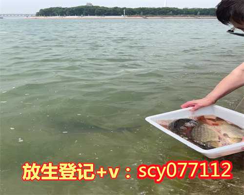 佛教放生文疏模板,佛教放生文疏表文