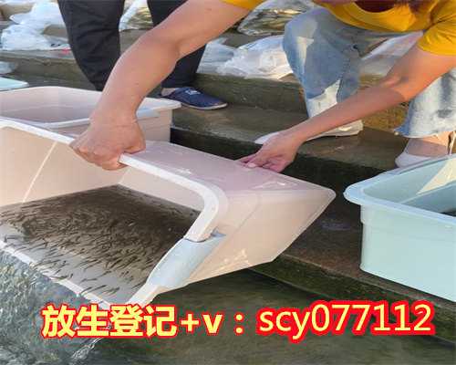 桂林放生精美句子，桂林哪个放生组织最好，放生乌龟仪式