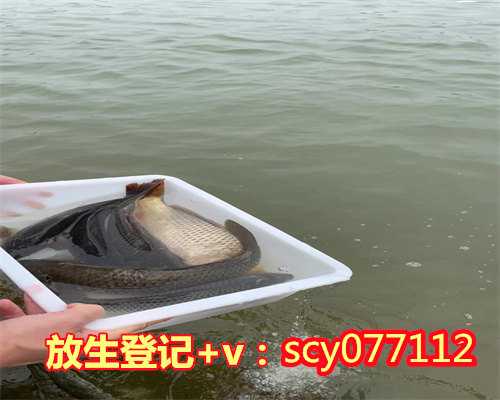 不吃素的人能放生吗为什么,不吃素的人能放生吗