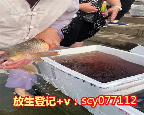 放生鱼什么鱼最好，玄关挂什么画风水好，挂九鱼图好么？