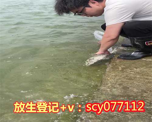 黑鱼放生后,放生的人能吃黑鱼吗,为何和尚都放生黑鱼啊
