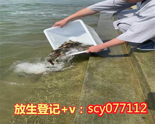北京哪里适合放生蝎子，北京大学出现素食部落