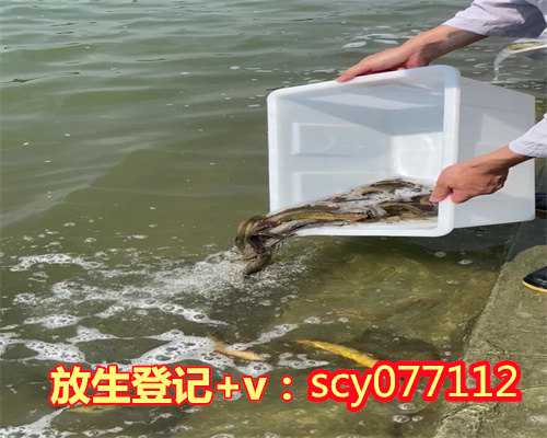 贵州把蟑螂放生到外面如法吗,把蟑螂放生到外面如法吗,舟山放生