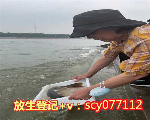 放生功德佛教美句，凡夫放生功德最大