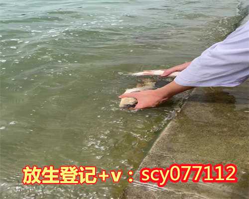 孩子满月如何放生三明法师开示放生【三明放生最佳地方】