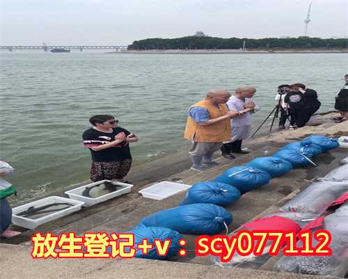 放生什么鱼最好,一般放几条,个人放生不能超过几点