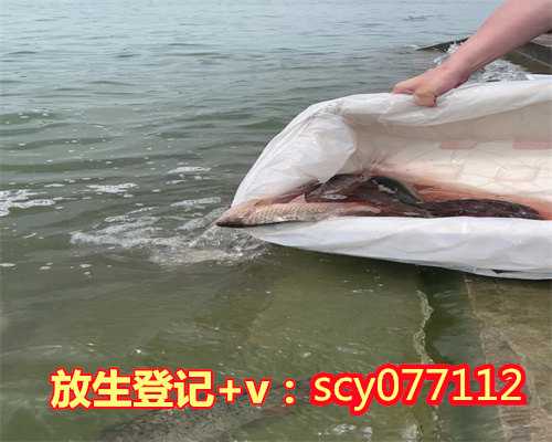 东莞什么地方适合放生乌龟,东莞什么地方适合放生