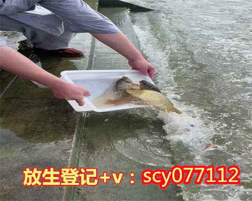 不如法的放生有功德吗,不如法放生