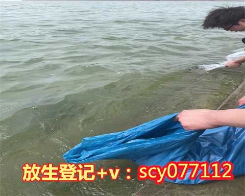 云南放生蜈蚣在哪里,云南266只收容救护野生动物被放归自然