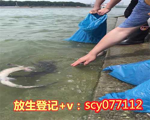 放生功德佛教美句,凡夫放生功德最大