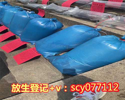 做完人流后可以放节育环吗,做人流后可以放生吗