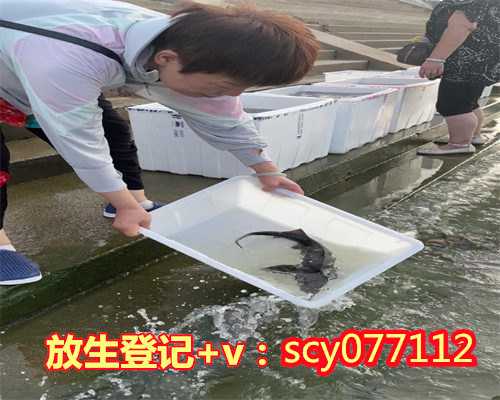 打胎放生盐城草龟能不能放生在河里【放生螃蟹代表什么意思】