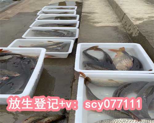 放生自己承德放生螺蛳癌症没了【放生田鸡的因果福报】