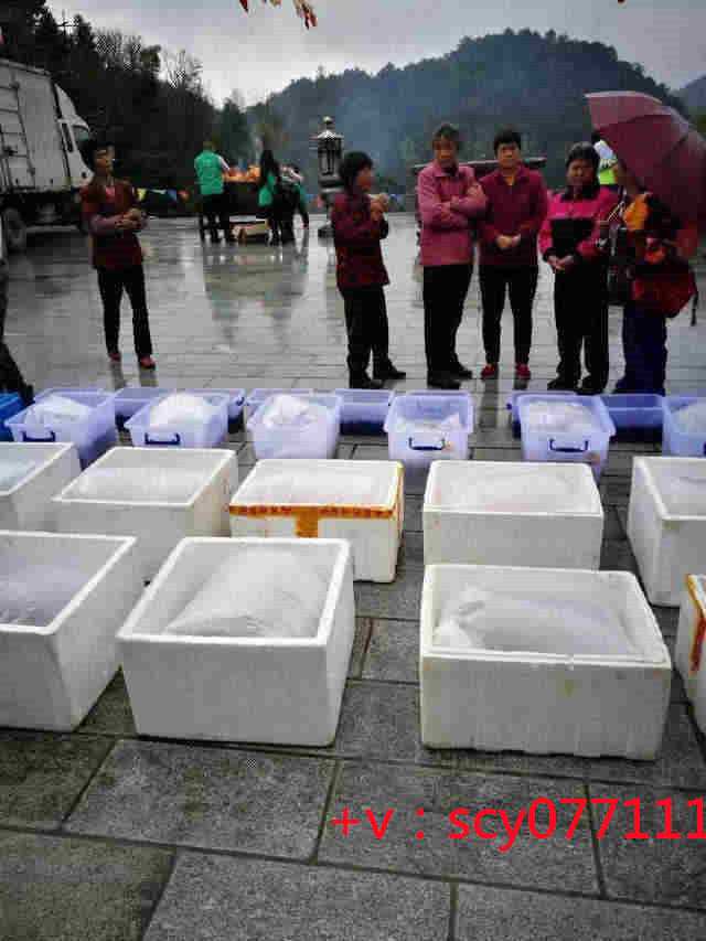 厦门大悲院放生,厦门北京朝阳区有哪些地方放生鱼类,厦门放生为什么选择鳝鱼
