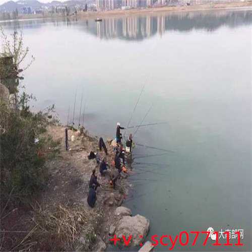 三亚麝香龟野外放生会泛滥吗，麝香龟野外放生会泛滥吗，龟放生有什么好处